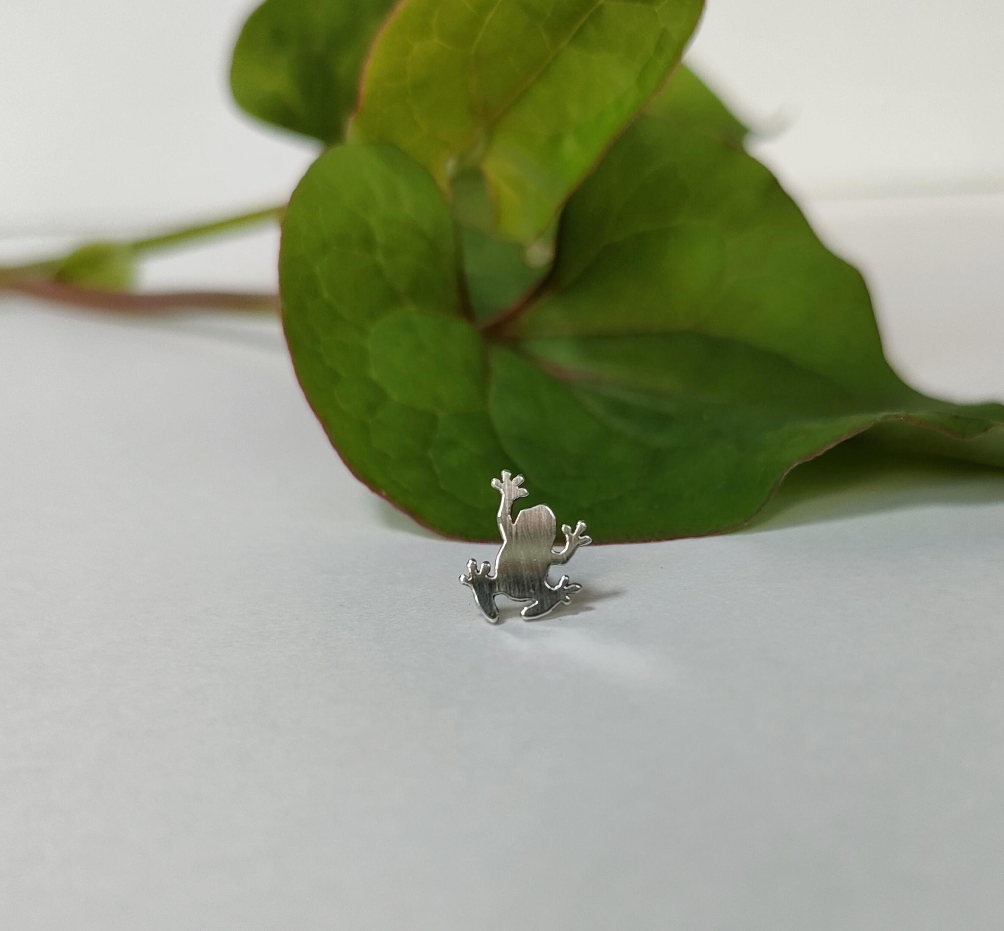 ちいさなカエルピアス【片耳】1枚目の画像