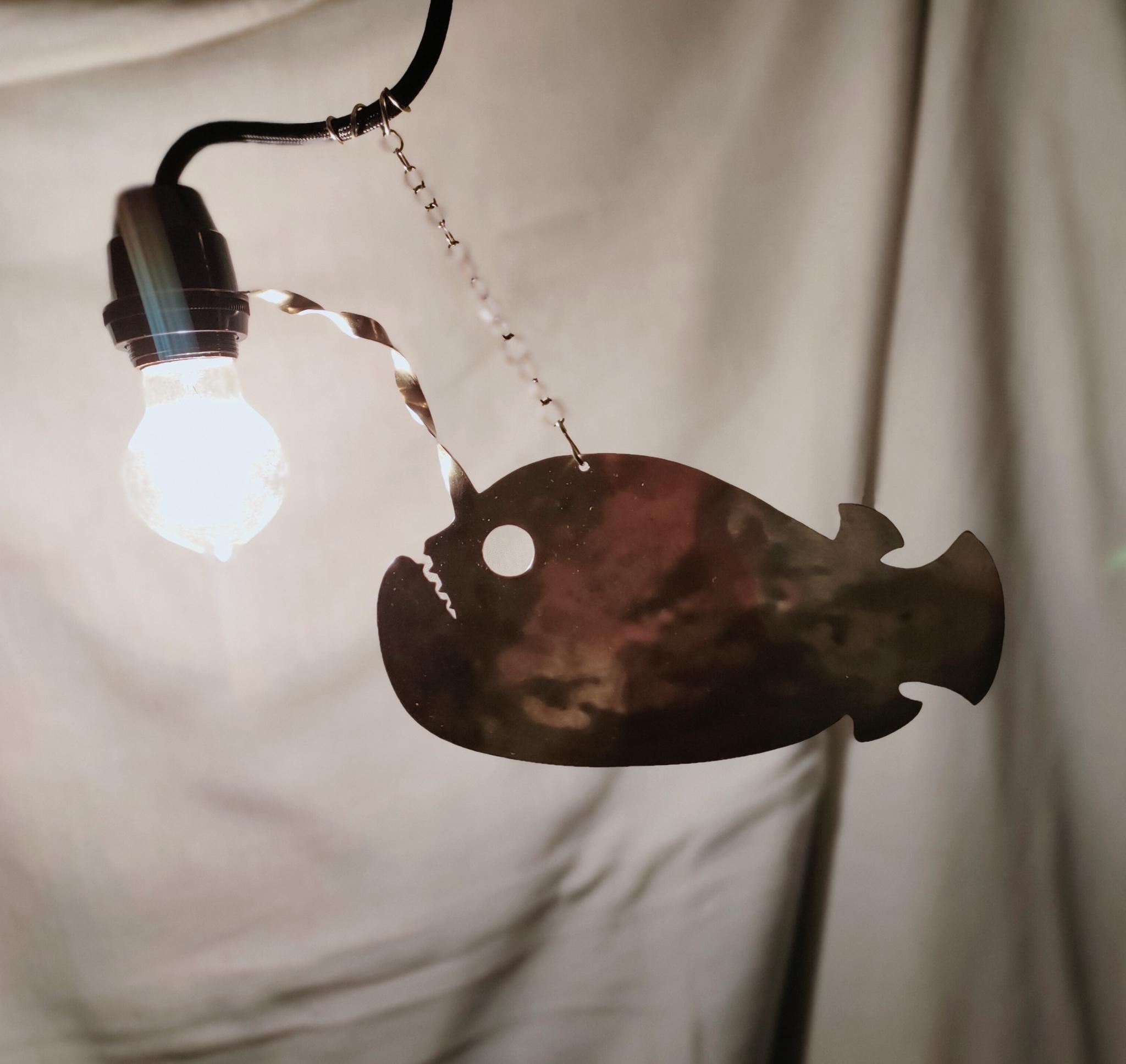 出展スケジュール